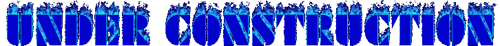 Asset